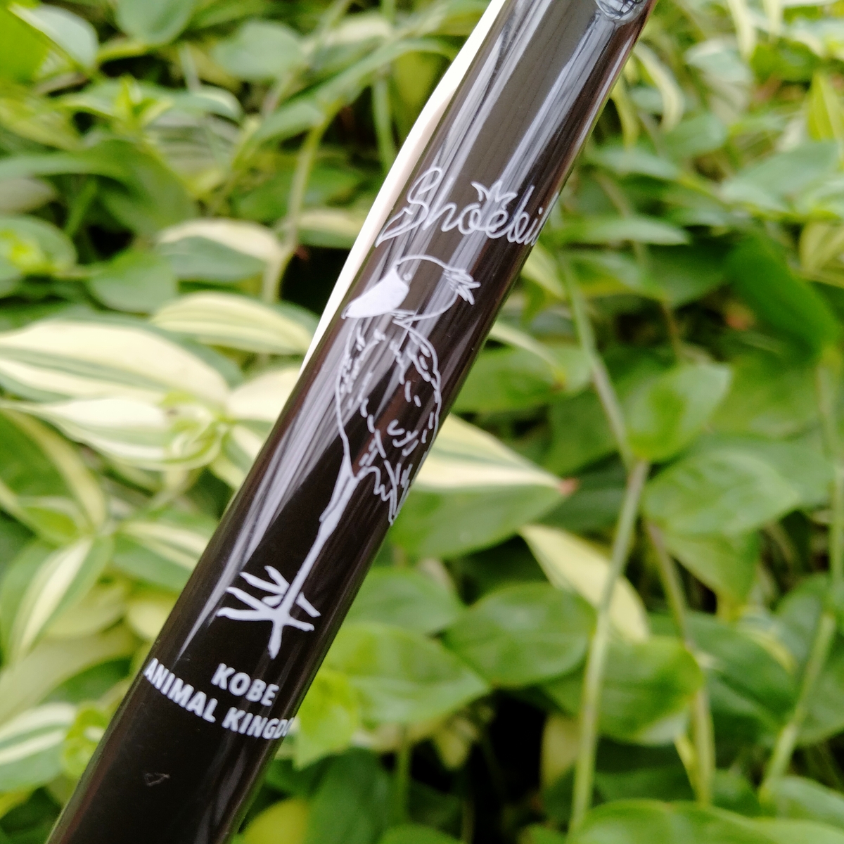 SARASAボールペン ハシビロコウ セピアブラック | 神戸どうぶつ王国NS